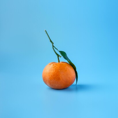 El mecanicismo considera que apenas forma, tamaño y movimiento (de sus partículas) son las propiedades «reales» de las cosas