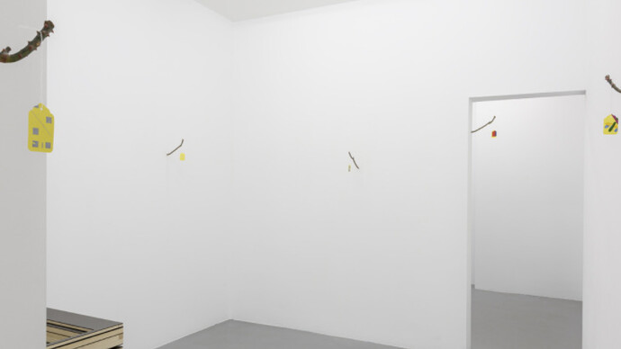 Mathew Hale, Exhibition view. Courtesy of Michel Rein