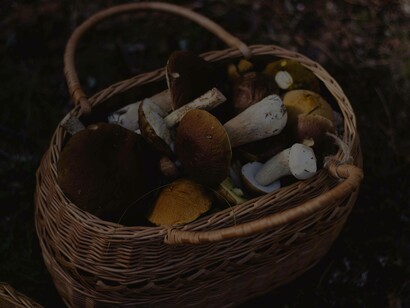 A basket of mushrooms ready to be cooked
