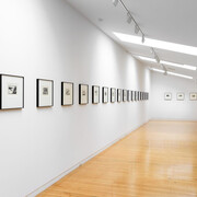 Robin White, Finding my way in Aomori, exhibition view. Courtesy of Two Rooms