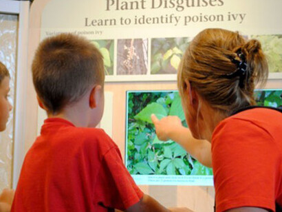 Native Plants and the Environment. Courtesy of Montshire Museum of Science