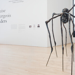 Louise Bourgeois. Spiders. Courtesy of San Francisco Museum of Modern Art
