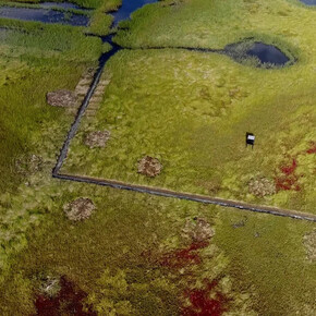 Flux and flow: the great Marsh, messages from the Marsh, part 9. Courtesy of Kingston Gallery