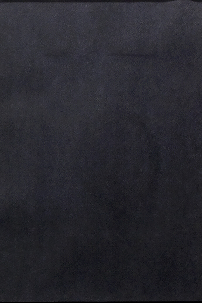 Shanta Rao, Sans titre, 2008-2015, sérigraphie sur papier 75 x 59,5 cm © Courtesy de l'artiste et Galerie Nathalie Obadia Paris / Bruxelles
