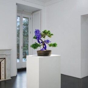 Agnieszka Kurant, Variantology, vista della mostra. Cortesia di Lia Rumma Gallery