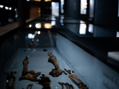 In life and death, exhibition view. Courtesy of The Vasa Museum