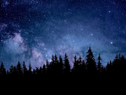 Accetto di attraversare la foresta del dubbio 