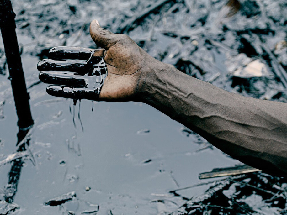 Philippe Chancel, Niger Delta, Ogoniland (2013), Datazone series
