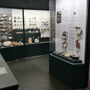 Mineralogy, exhibition view. Courtesy of the Latvian National Museum of Natural History