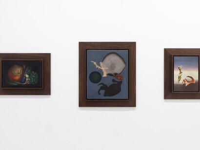 Sari Dienes, Night eyes, exhibition view. Courtesy of Eric Firestone Gallery