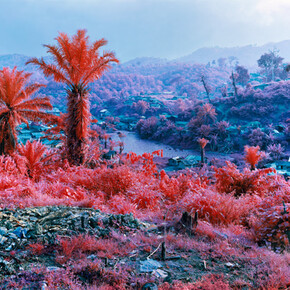 Hombo, Walikale, eastern Democratic Republic of Congo, 2012 © Richard Mosse - Courtesy of the artist and Jack Shainman Gallery, New York