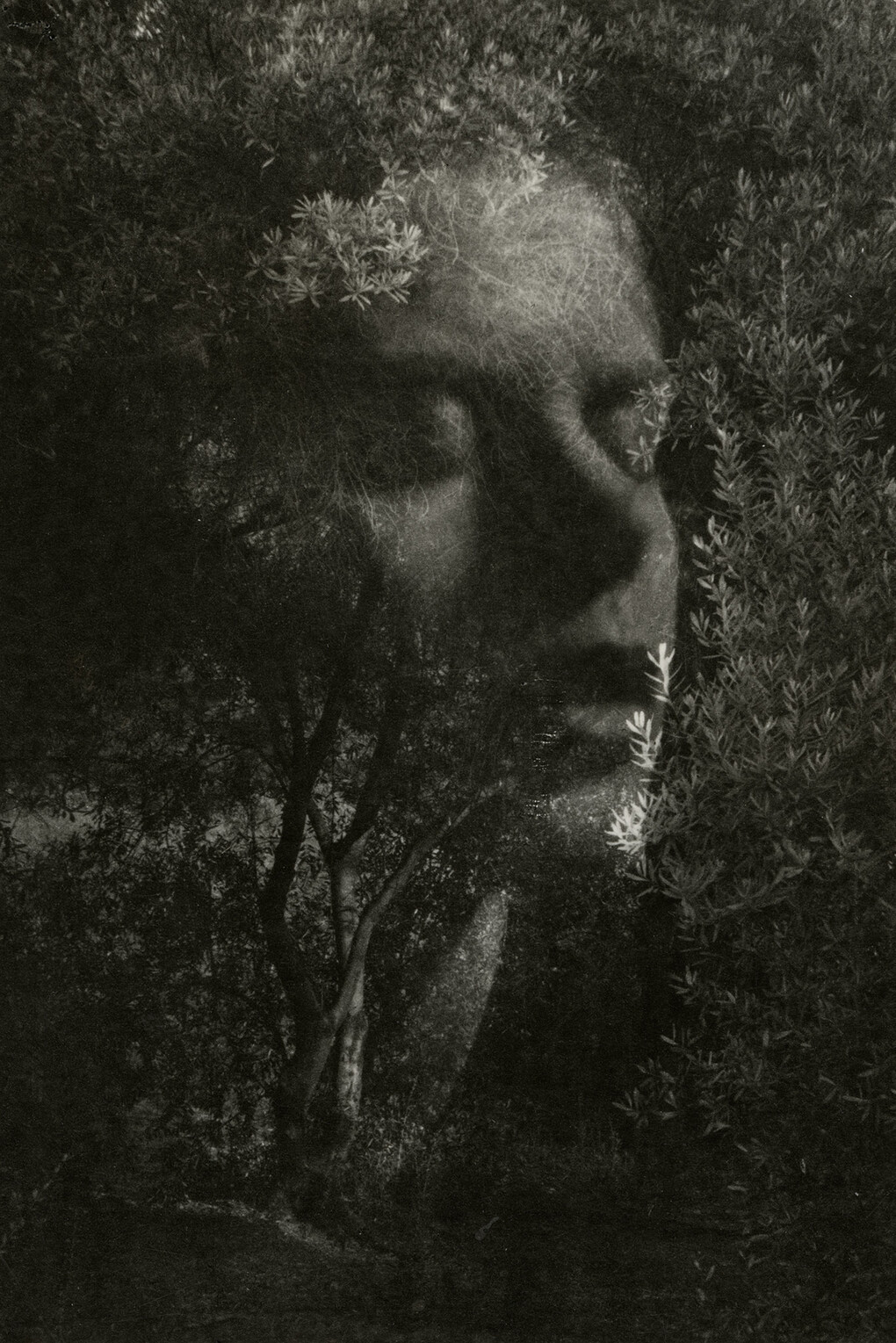Edmund Teske, Gertrude Teske Composite with Olive Hill, Hollywood, 1947. Copyright Estate of Edmund Teske, Courtesy Gitterman Gallery
