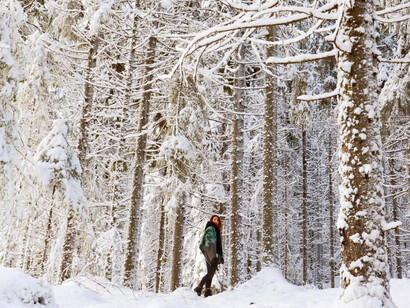 Meditazione nel bosco