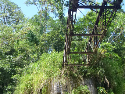 El piso del viejo puente, visto desde el cauce del río. Foto: Luko Hilje