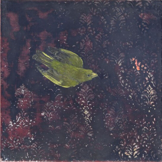 Melanie Miller, Greenfinch I, 2014, oil on gessoed board, 30 x 30 cm