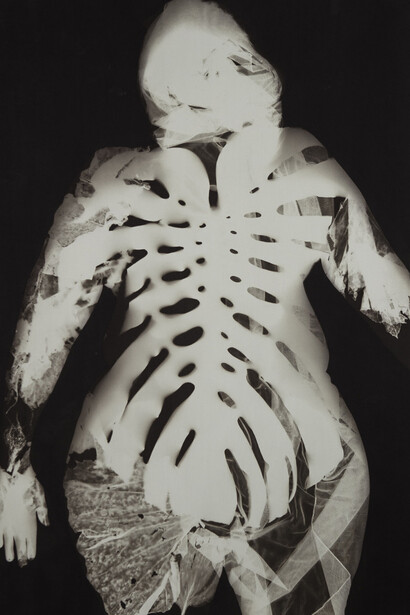 V. Elizabeth Turk, Calaeno, 2018. Courtesy of High Museum of Art