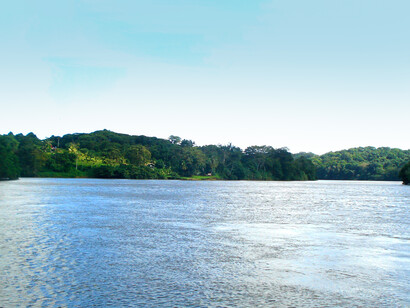 Desembocadura del río Sarapiquí en el San Juan, con la punta de La Trinidad a la izquierda y Punta Alvarado a la derecha. Foto: Luko Hilje