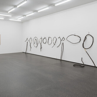 Various artists, Collection 25. Swiss art from the 18th century to the present day, exhibition view. Courtesy of 
Aargauer Kunsthaus