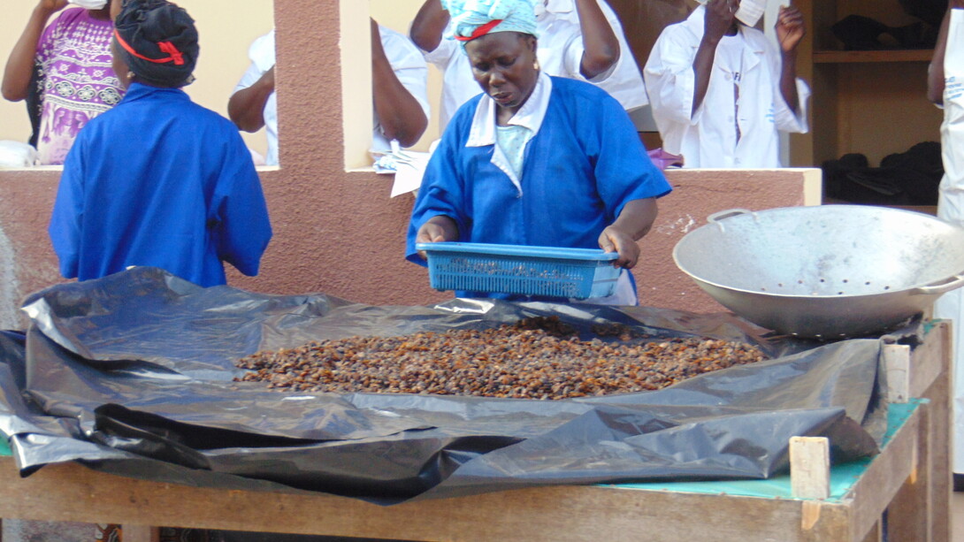Secadero para las almejas y ostras en la isla de Niodior, Senegal