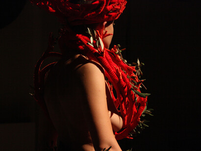 Anthozoa, 2012, performance, foto Giovanni Membola