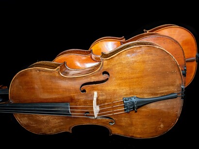 In questa ricerca sono evidenziati i benefici effetti sulla plasticità cerebrale derivanti dall'apprendimento e dalla pratica di uno strumento musicale
