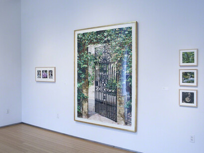 Summer Gardens, Exhibition view. Courtesy of Nancy Hoffman