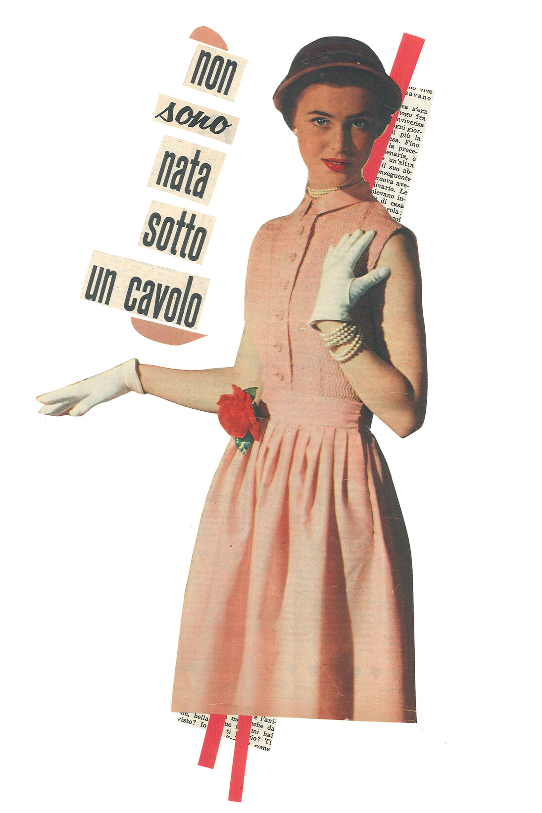 Maria Grazia Preda, Non sono nata sotto un cavolo