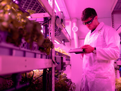 Scientists study sustainable food growing
