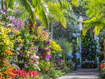 New York Botanical Garden Orchid Show