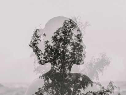 La negativa a la paz prolonga el sufrimiento humano y la inestabilidad global