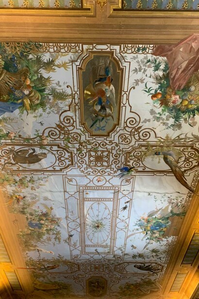 Volta della Sala del vestibolo, detta dei Pappagalli, dipinta a tempera, 1876 circa (foto Roberto Luciani)