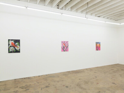 Snowbirds. Courtesy of Nina Johnson