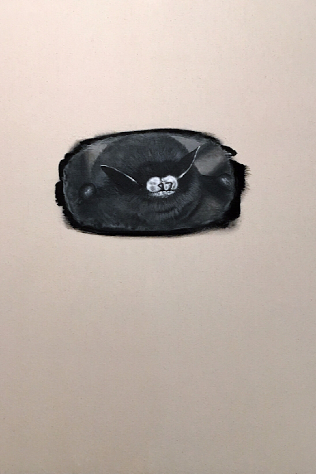 William Binnie, White Nose, 2017. Courtesy of LMAKgallery