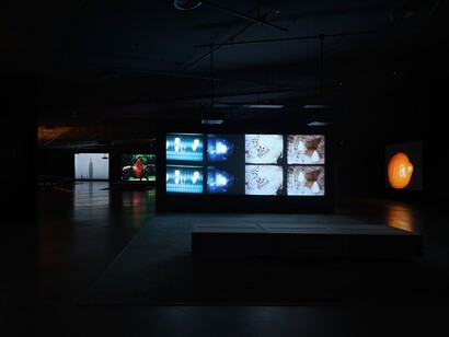 Various artists, Underground. American avant-garde film in the 1960s, exhibition view. Courtesy of Eye Filmmuseum