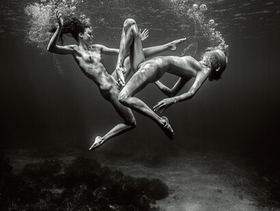 Hugh Arnold, Punta da Vista, 2013, Archival c-type metallic print, 40 x 60 in
