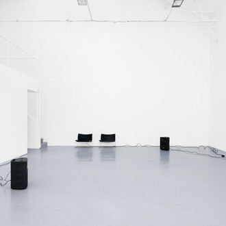 Diana Thater, The conversation, exhibition view. Courtesy of Galerie Hussenot