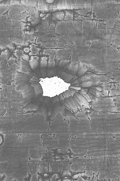 Future Retrospective. Courtesy of Crow Collection