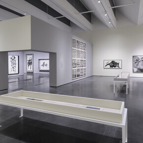 Line, form, Qi. Calligraphic art from the fondation Ink Collection, exhibition view. Courtesy of Los Angeles County Museum of Art (LACMA)