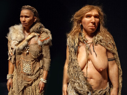 Modelos de mujeres sapiens y neandertal en el Museo de Historia Natural de Londres
