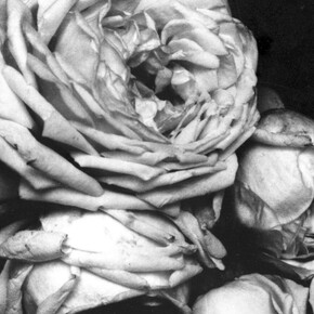 Time Space Continuum. Courtesy of Villa Vauban 