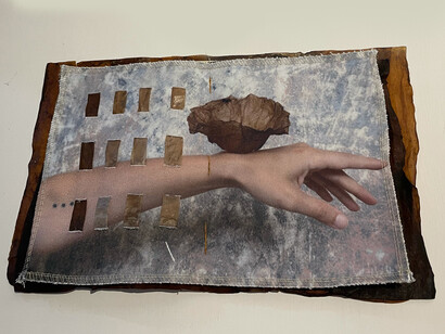 Cordero y Ureña, «Lo que no vemos crece de todas formas». Fotos cortesía de las artistas