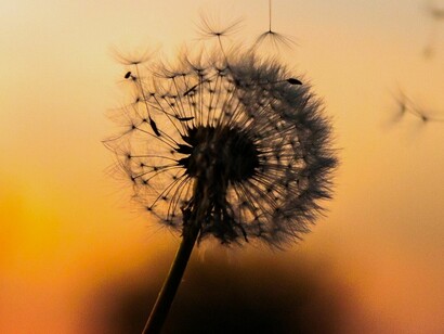 Pararse, sentir, hacer