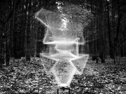 Taiyo Onorato & Nico Krebs