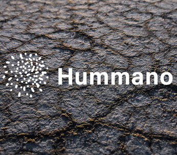 Lançamento do Hummano