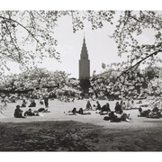 J. Paul Getty Museum