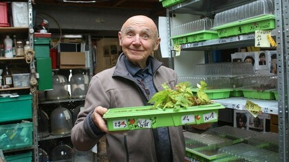 Les Leçons de chausses de Gérard Hauray. 110 micro paysages témoignent de la vie secrète du végétal : sous nos chaussures  s'opèrent des croisements avec la vie urbaine et la colonisation insoupçonnée du minéral
