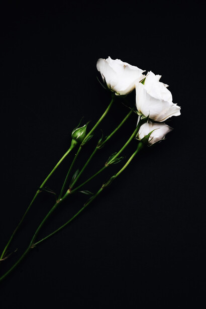 La paura è l’opposto dell’amore