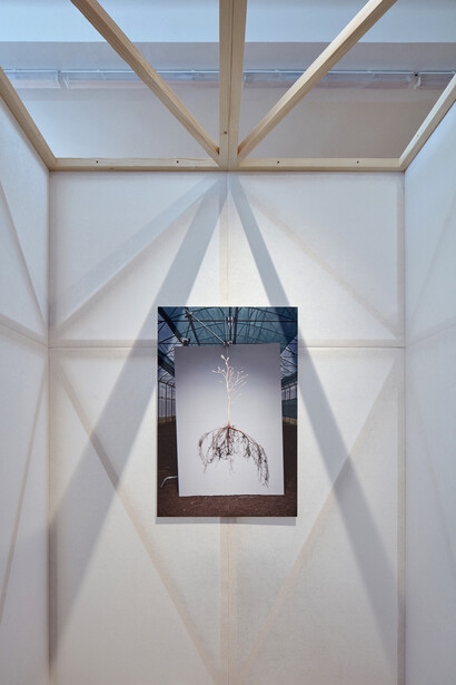 Making a Forest. Courtesy of National Museum of Agriculture