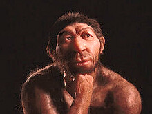 L'uomo di Neanderthal