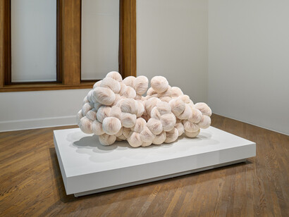 Various artists, Still in motion, exhibition view. Courtesy of San Jose Museum of Art